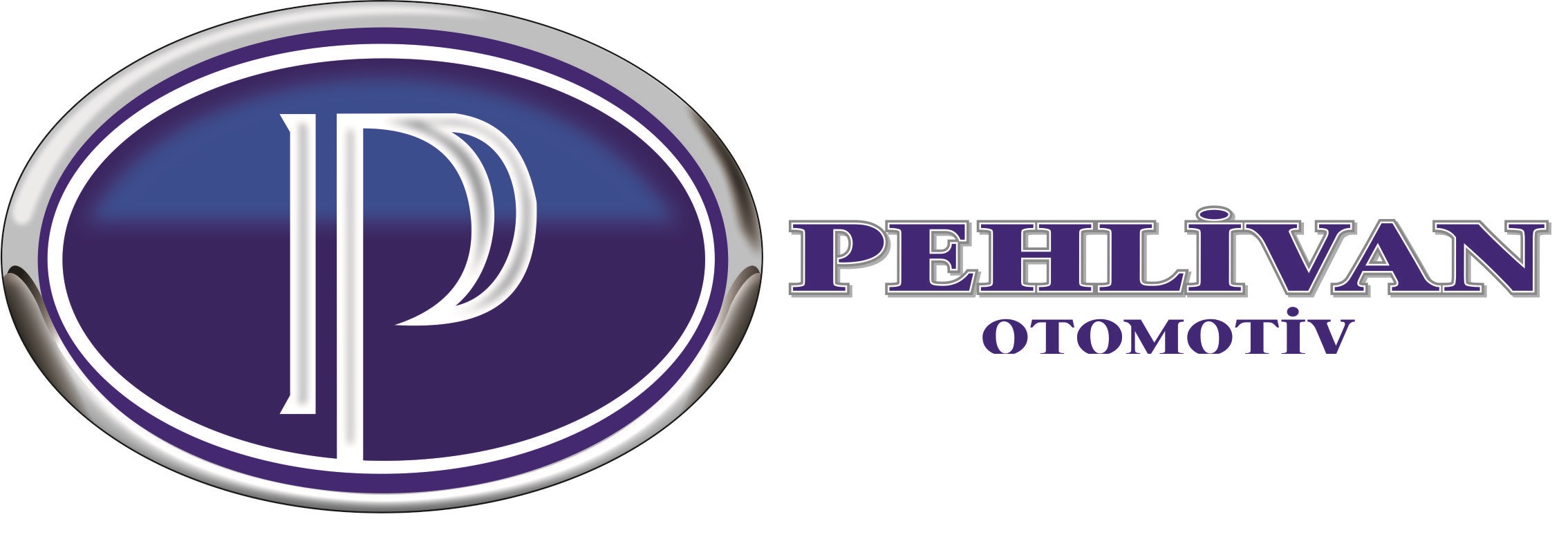 Pehlivan Otomotiv company logo featuring the business name and branding for an automotive parts supplier based in Sakarya, Turkey